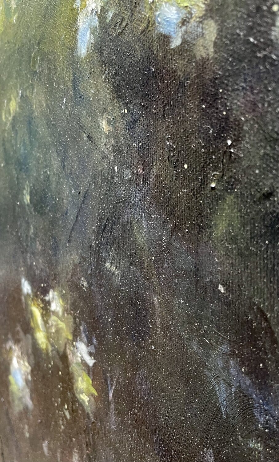 Prairie, la nuit - Johanna-Lisa